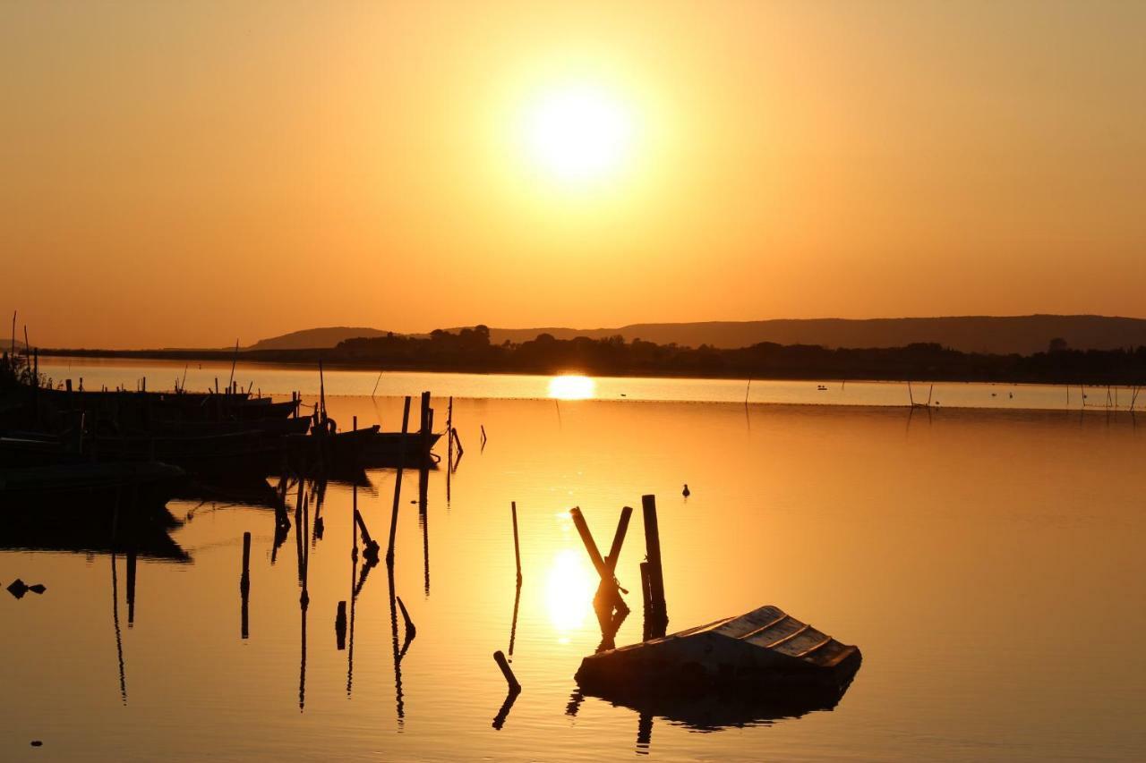 Studio 237 Port Camargue, Piscine, Climatisation, 2 Personnes Le Grau-du-Roi Εξωτερικό φωτογραφία
