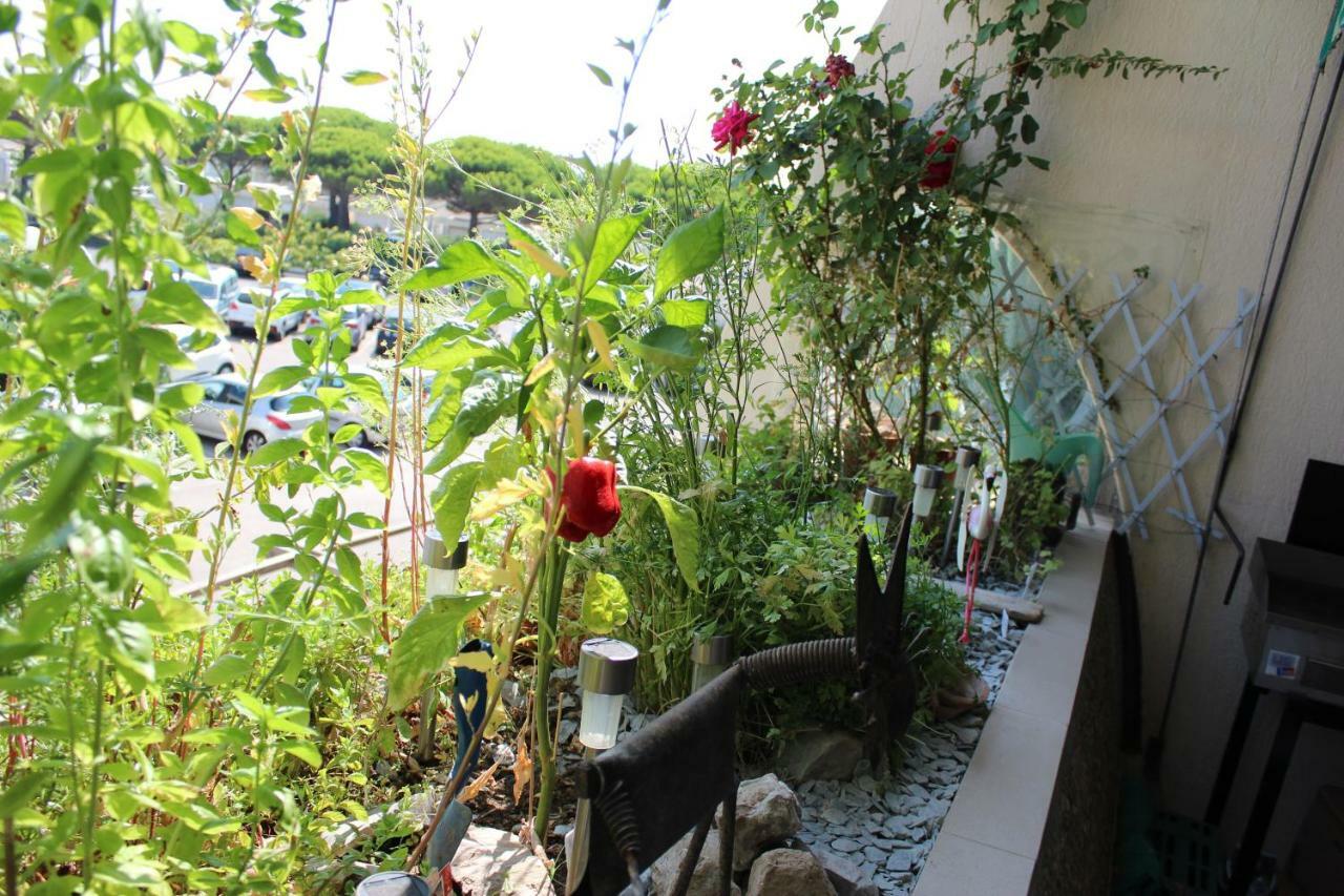 Studio 237 Port Camargue, Piscine, Climatisation, 2 Personnes Le Grau-du-Roi Εξωτερικό φωτογραφία