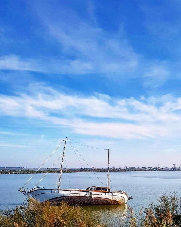 Studio 237 Port Camargue, Piscine, Climatisation, 2 Personnes Le Grau-du-Roi Εξωτερικό φωτογραφία